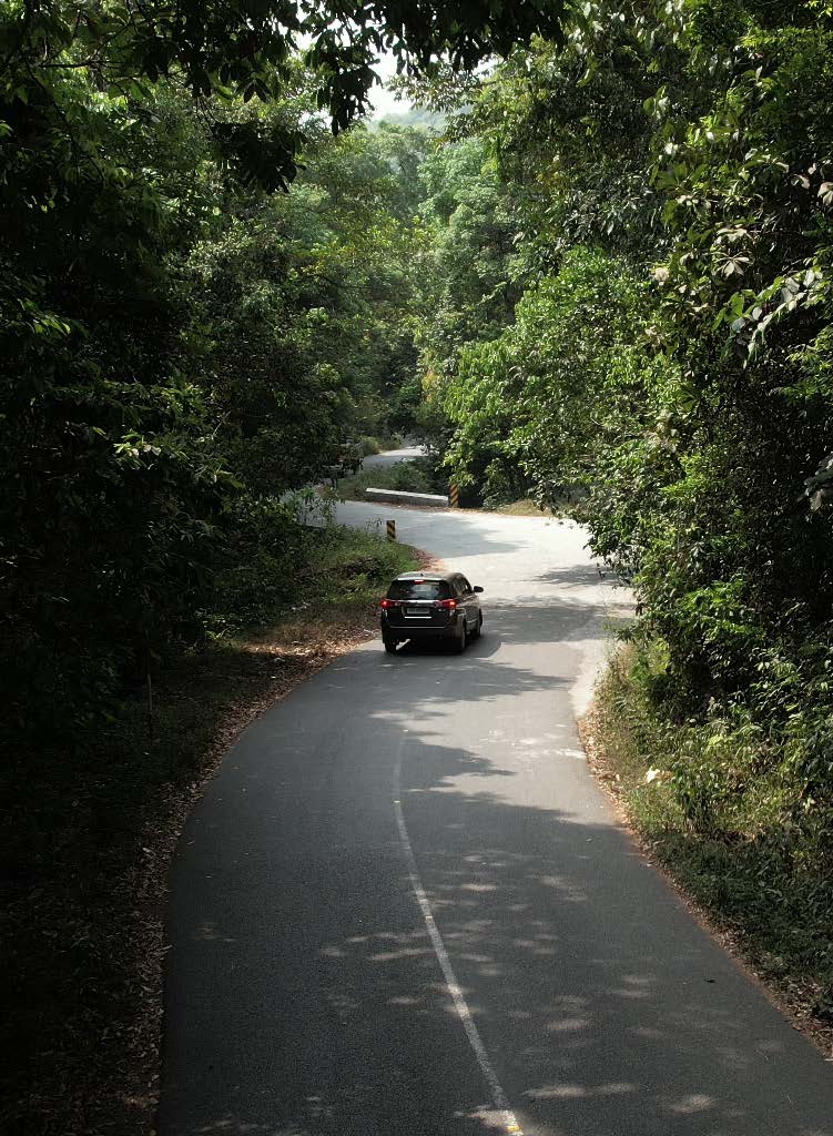 Coorg Drive