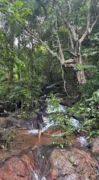 Waterfall